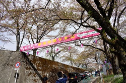 千本桜入口