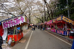 桜のトンネルに並ぶ屋台