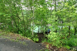 木の間に見える青い池