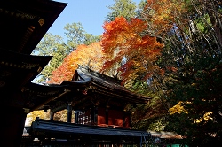 三峯神社本殿と紅葉