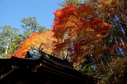 三峯神社本殿と紅葉