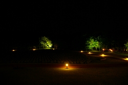 夜の中庭