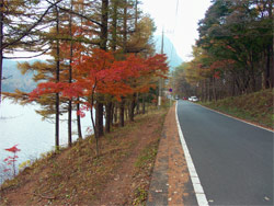 榛名湖周回道路の紅葉