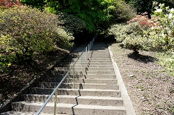 奥宮への階段