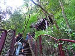 袋田自然研究路の階段