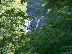 研究路から見た生瀬滝