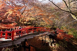 河鹿橋と紅葉