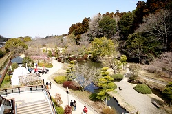 梅桜橋から見た庭園