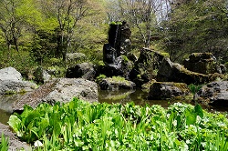 円月池と丈六の滝