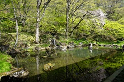 本堂裏の池と青龍の滝