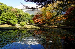 内庭の池に映る東京ドーム