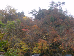 小中大滝入口の木々
