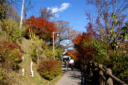 御岳山頂駅への道