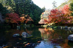 竜樹の池と紅葉