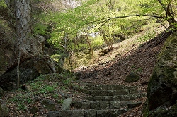 登りが続く参道の階段