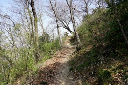 八幡山への道
