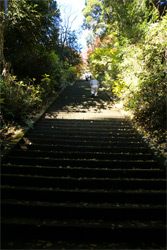 太平山神社への石段