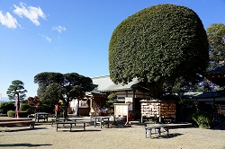 織姫神社社務所