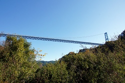 階段途中から見る竜神大吊橋