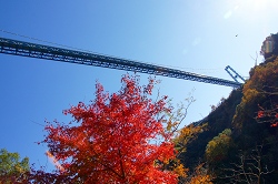 竜神大吊橋と紅葉