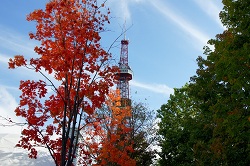 大通り公園の紅葉とテレビ塔