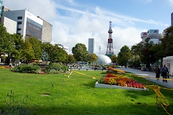 大通り公園から見たテレビ塔