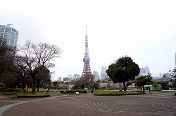芝公園から見える東京タワー