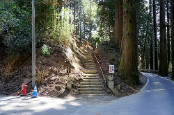 神社への歩道