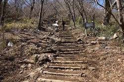  男体山へ向う階段