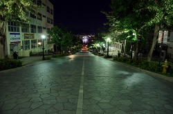 夜の八幡坂
