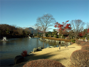 池のある日本庭園