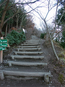 頂上まで202段の階段