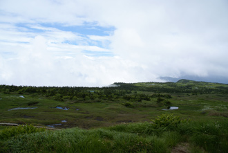 山頂付近から見える湿原