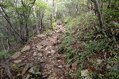 石の多い登山道