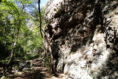 登山道脇の大きな岩
