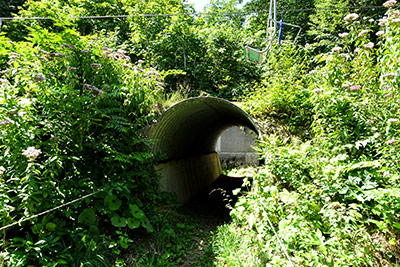 リフトの下を抜けるトンネル
