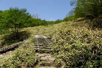 登山道の半分以上が階段