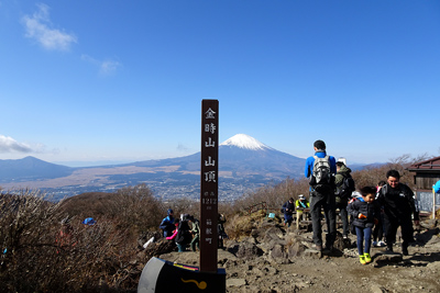 金時山山頂と富士山