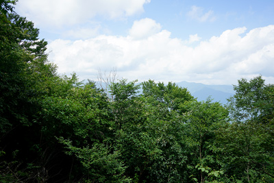 三頭山西峰からの北側展望（左奥が雲取山）