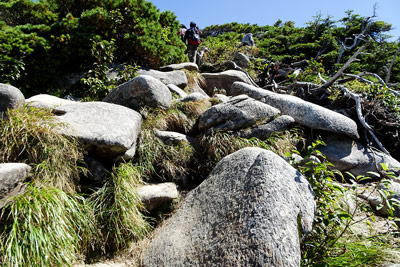 山荘から最初の登りは大きな石の上